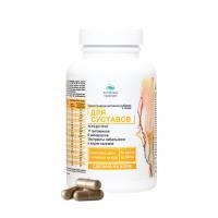 Концентрат для суставов с экстрактом сабельника и хондроитином +11 витаминов и 6 минералов Простые решения 60 капсул