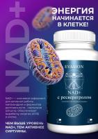 БАД NAD+ ключевой кофермент для активной работы митохондрий Evasion 30 шт