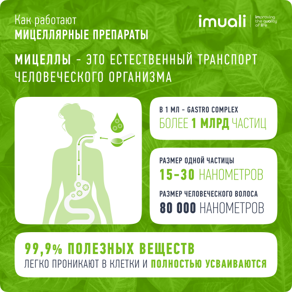 Живица кедровая в мицеллярной форме «Gastro Complex» (для работы ЖКТ) IMUALI 30 мл
