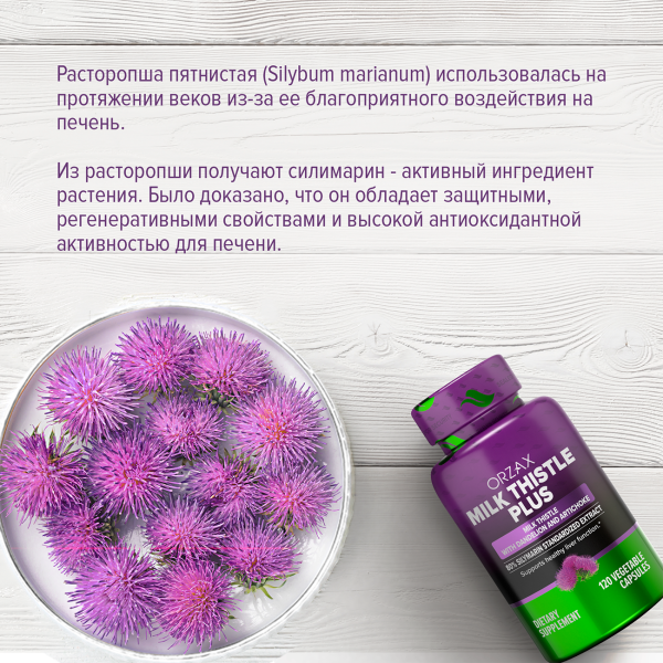Расторопша плюс  ORZAX 120 капсул