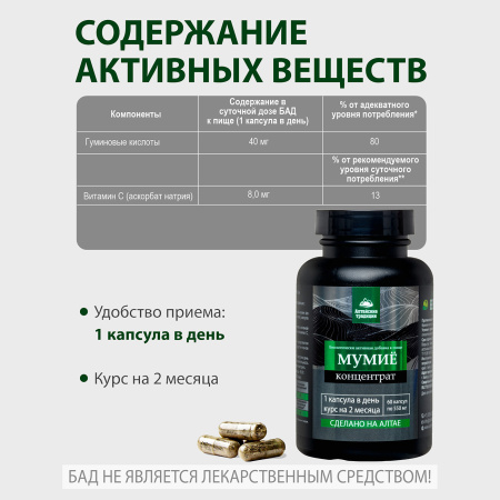 Концентрат «Мумиё Премиум»  Простые решения 60 капсул