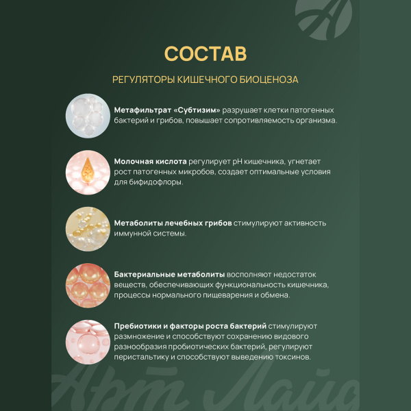 Сорбиотик (сорбент) Артлайф жидкость 250 мл