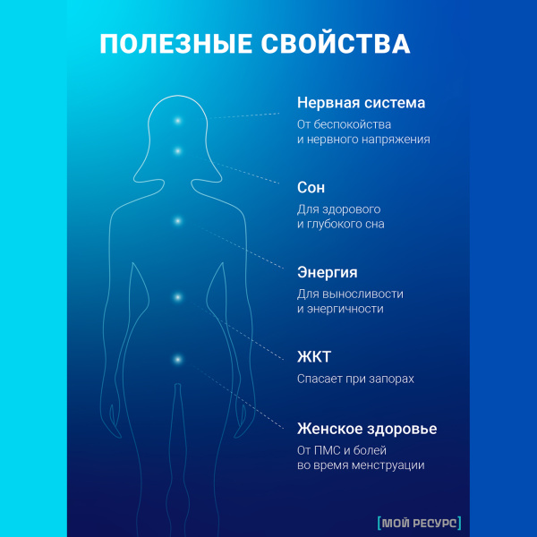 Магниевый комплекс и витамин B6 (P-5-P) Мой Ресурс 60 капсул