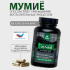 Концентрат «Мумиё Премиум»  Простые решения 60 капсул