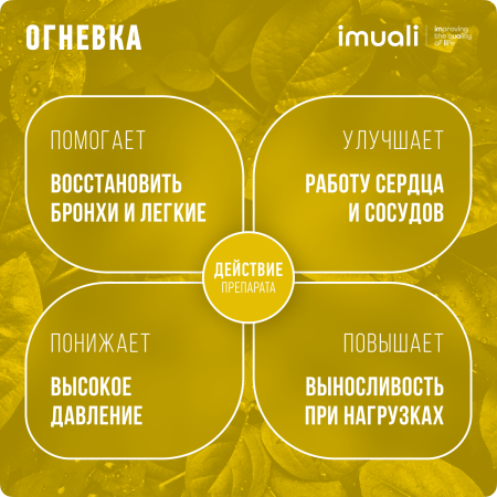 Мицеллярный комплекс для дыхательной системы «Broncho Complex»  IMUALI 30 мл