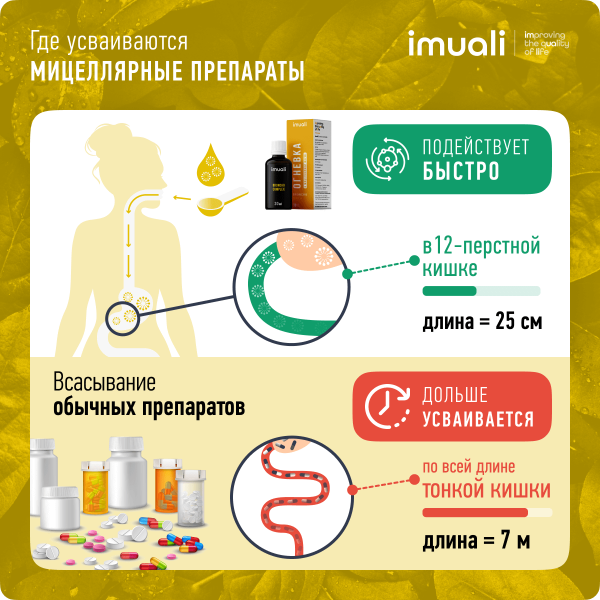 Мицеллярный комплекс для дыхательной системы «Broncho Complex»  IMUALI 30 мл